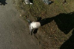 Пекарня-кондитерская Сладкая жизнь, с рейтингом 4.4 - находится по адресу Мурманск, улица Полярные Зори, 35/2 