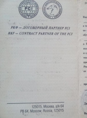 Грумер, водитель Юлия Любич