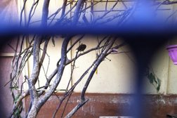 Женский монастырь в честь иконы Божией Матери Всецарица, с рейтингом 1.7 - находится по адресу Краснодар, Димитрова, 146/1 