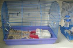 Зоомагазин Leo, с рейтингом 5 - находится по адресу Алматы, 10-й микрорайон, 11а 