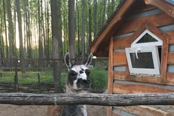 Ресторан Отрада, с рейтингом 4.1 - находится по адресу Московская область, поселок Отрадное, 1 