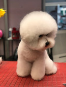 Киселева Дарья Николаевна