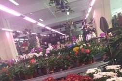 Салон цветов Kaz Flor, с рейтингом 5 - находится по адресу Нур-Султан, Толстого, 1 