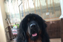 Зооцентр The BEST, с рейтингом 2.8 - находится по адресу Екатеринбург, улица Шейнкмана, 7 