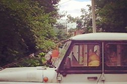 Московский политехнический университет, с рейтингом 2.6 - находится по адресу Рязань, Право-Лыбедская улица, 26/53 