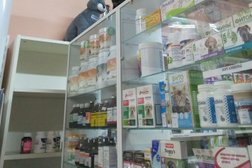 Ветеринарная клиника ВетИС, с рейтингом 2.6 - находится по адресу Московская область, Наро-Фоминск, Московская улица, 13Б 