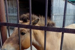 Ивановский зоопарк, с рейтингом 4.1 - находится по адресу Иваново, Ленинградская улица, 2а 