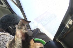 Центральный рынок, с рейтингом 3 - находится по адресу Омск, улица Гусарова, 33 