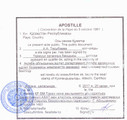 сертификат/документ Бюро переводов Apek Translation Service