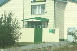Анималз