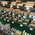 фотография Greenbox