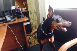 Журнал ДОРОГОЕ УДОВОЛЬСТВИЕ, с рейтингом 4 - находится по адресу Владивосток, Партизанский проспект, 8 