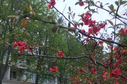 Санаторий Архипо-Осиповка, с рейтингом 4 - находится по адресу Краснодарский край, с. Архипо-Осиповка, Санаторная улица, 40 