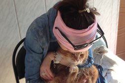 Ветеринарная клиника Доктор Пин, с рейтингом 3 - находится по адресу Московская область, Кашира, Пушкинская улица, 13/1 