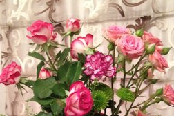 Салон цветов Elen, с рейтингом 4.2 - находится по адресу Ленинградская область, Мурино, Оборонная улица, 2 к1 