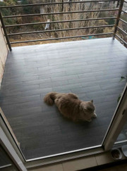 Мастер по ремонту офисов, мастер по ремонту квартир и коттеджей Олег Вячеславович Зезик