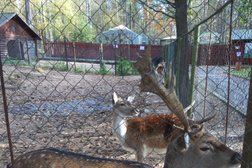 Банный комплекс и SPA Аквамарин, с рейтингом 5 - находится по адресу Санкт-Петербург, Приморское шоссе, 593 лит Н 