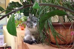 Школа-лицей Нұрорда, с рейтингом 2.7 - находится по адресу Нур-Султан, Қасым Аманжолов, 34 