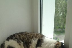 Прокуратура Пушкинского района, с рейтингом 1.9 - находится по адресу Санкт-Петербург, улица Глинки, 30 