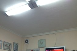 Ноготки
