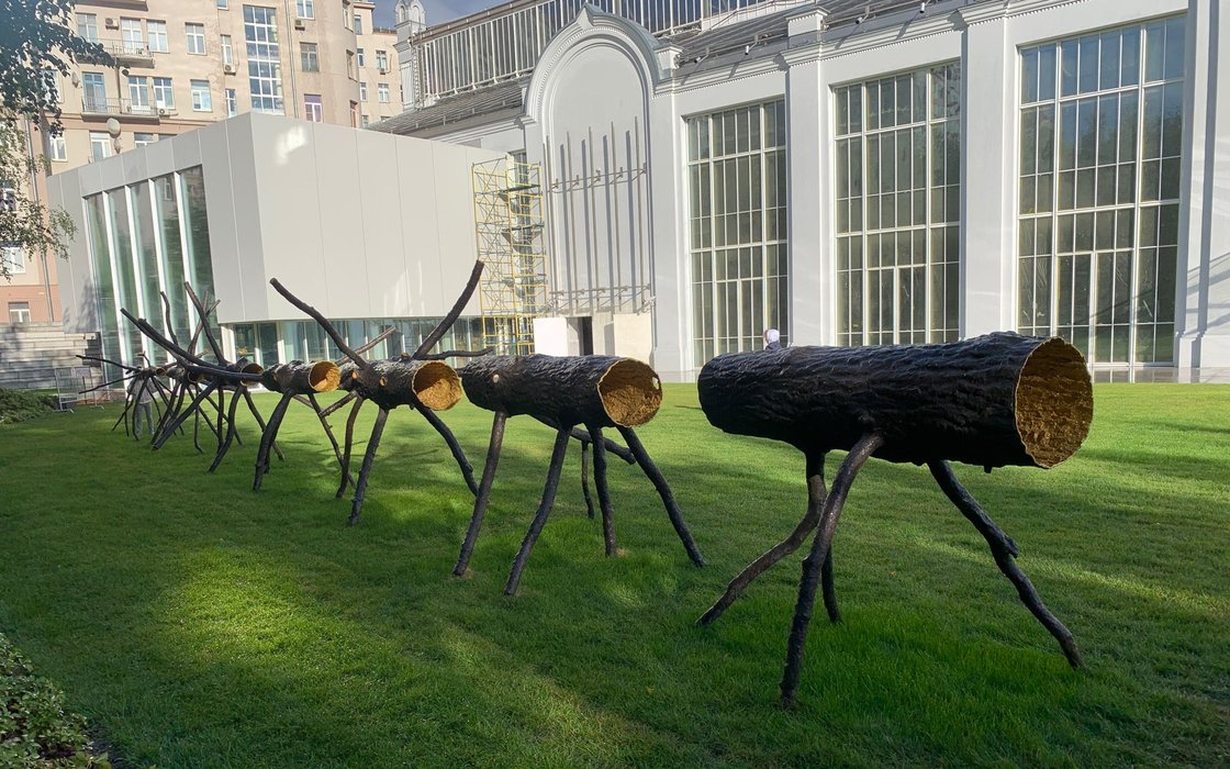 Порнографиялық оқиғада атасы немересін өткізіп жіберді.