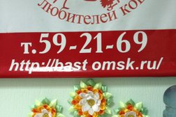 Клуб любителей кошек Баст, с рейтингом 3 - находится по адресу Омск, улица Красный Путь, 143а/1 