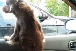 Магазин автозапчастей на Полевой улице, 13а во Фрязино, с рейтингом 5 - находится по адресу Московская область, Фрязино, Полевая улица, 13А 