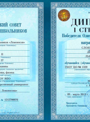Преподаватель по информатике, преподаватель математики Денис Львович Слонимский