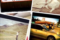 Центральный отдел Управление Федеральной службы ВНГ РФ по Новосибирской области, с рейтингом 5 - находится по адресу Новосибирск, Коммунистическая улица, 41 