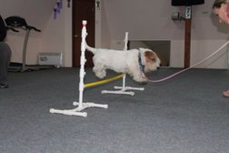 Зоосалон Zoo Zone, с рейтингом 2 - находится по адресу Владивосток, улица Адмирала Юмашева, 14к 