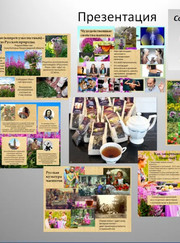 Водитель, специалист по изготовлению рекламы Елена Ивановна Ильиных