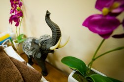 SPA-салон Корона Тайланда, с рейтингом 3.7 - находится по адресу Республика Мордовия, Саранск, улица Богдана Хмельницкого, 59 