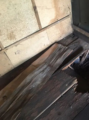 Риелтор, актёр Дмитрий Юрьевич Елисеев