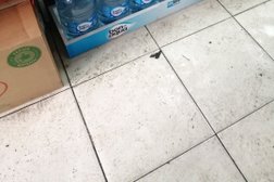 Чик