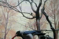 Музей леса им. М.Х. Абдулова, с рейтингом 4.3 - находится по адресу Республика Башкортостан, Уфа, Лесной проезд, 1 