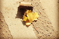 Оптово-розничная компания Электроагрегат, с рейтингом 5 - находится по адресу Воронеж, улица Машиностроителей, 7 