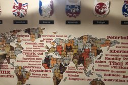 Гостиница для питомцев ЭтноКот, с рейтингом 5 - находится по адресу Калужская область, д. Петрово, улица Мира, 12а 