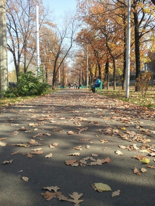 фотография Кафе Манас