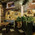 фотография Garden lounge