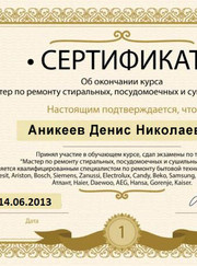 Мастер по ремонту бытовой техники Денис Аникеев