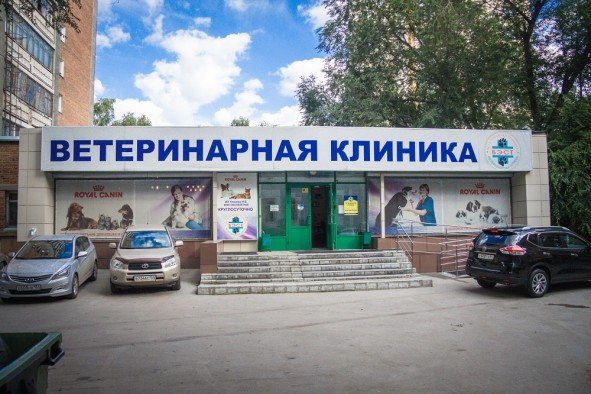 Ветеринарная клиника ул фрунзе 3 фото