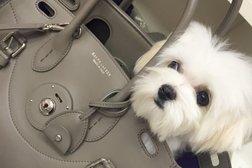 Магазин ЛучшееДетям.ру, с рейтингом 5 - находится по адресу Псков, Иркутский переулок, 2 