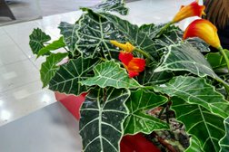 Торгово-развлекательный центр ЯркоМолл, с рейтингом 2.9 - находится по адресу Иркутск, Верхняя набережная, 10 