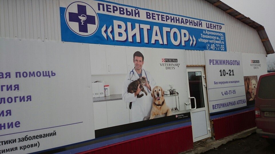 Ветеринарная клиника архангельская область мирный фото