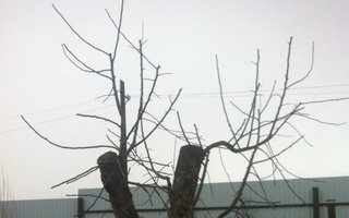 фотография работы специалиста Алексея Игоревича Басалаева