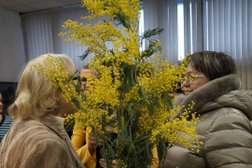 Выставочный зал Российская академия художеств, с рейтингом 4 - находится по адресу Красноярск, проспект им. газеты Красноярский Рабочий, 197 