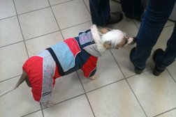 Шинно-сервисный центр Колёса Даром, с рейтингом 4.7 - находится по адресу Челябинск, улица Барбюса, 2 