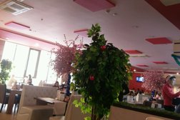 Ресторан Samurai Sushi, с рейтингом 3.6 - находится по адресу Алматы, Алмагуль микрорайон, 18а 