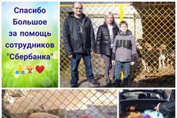 Благотворительный контейнер Первоуральское общество защиты животных, с рейтингом 3.2 - находится по адресу Свердловская область, Первоуральск, Динасовское шоссе, 1/2 
