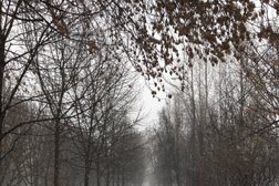 Парк культуры и отдыха Красная Пресня, с рейтингом 4.4 - находится по адресу Москва, Мантулинская, 5 ст2 